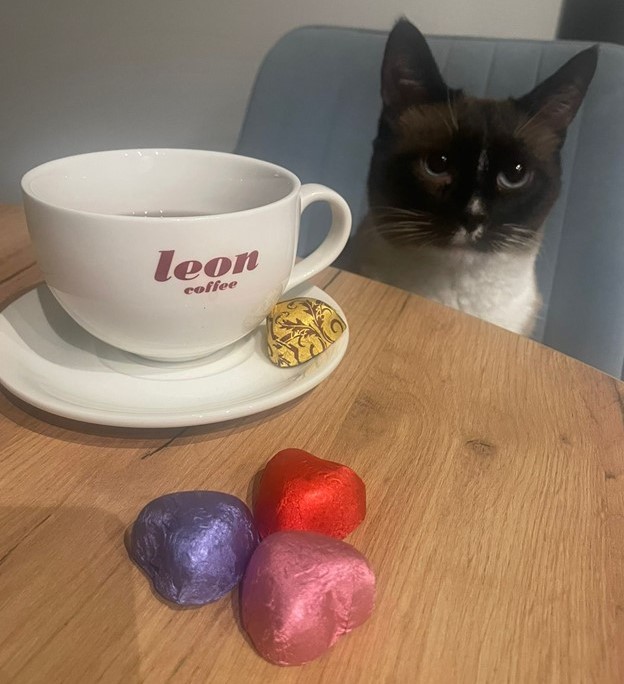 Кофе в подарок, новости Coffee-bean