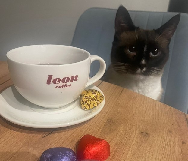Какой кофе лучше купить в подарок?  - Coffee-Bean